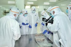 什么是P3實驗室，建立P3實驗室的要求是怎樣